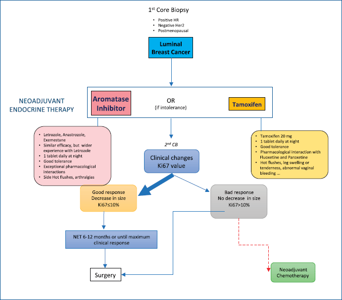 endocrine cancer treatment