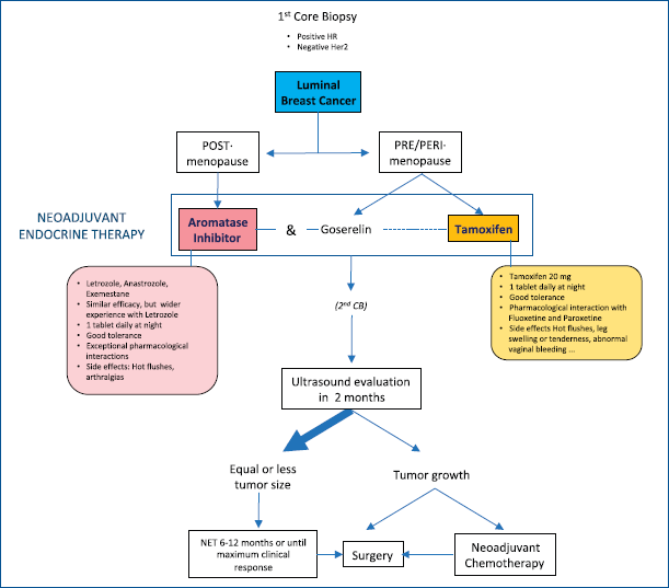 endocrine cancer treatment