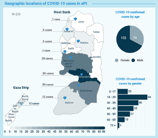 Palestine covid 19 cases