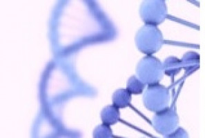 viroterapia oncolítica para el cáncer de próstata