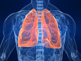 terapia de protones para los resultados de estudios clínicos sobre cáncer de próstata